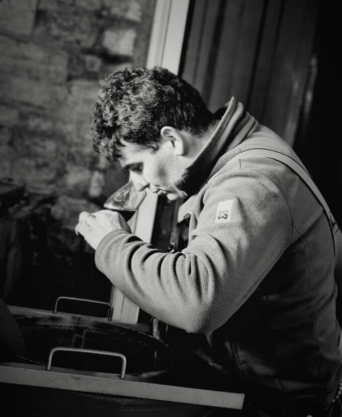 dégustation du jus de raisin pendant la vendange